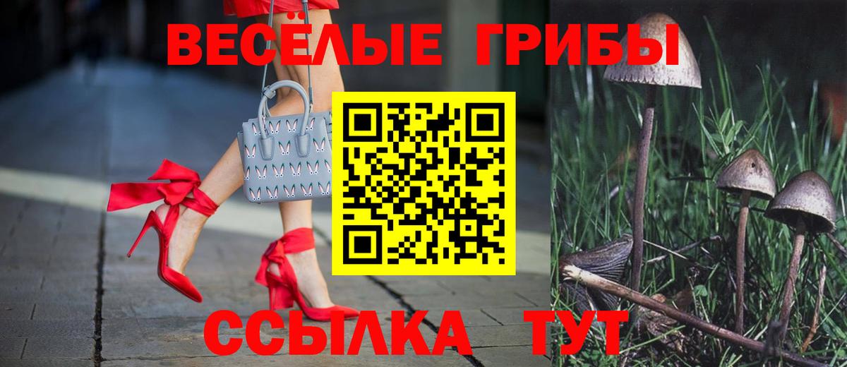 Псилоцибиновые грибы Magic Shrooms Приморско-Ахтарск