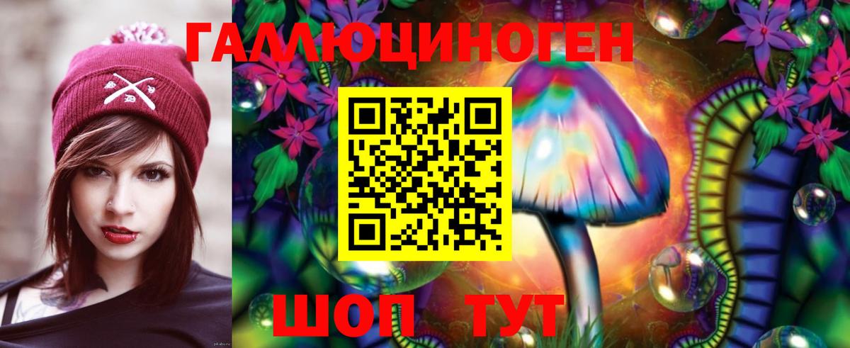 Приморско-Ахтарск  Псилоцибиновые грибы Psilocybine cubensis  Вход с VPN 